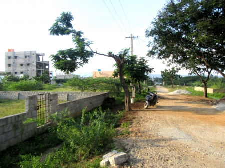 2) Li Id : 179 - Pic 3.JPG